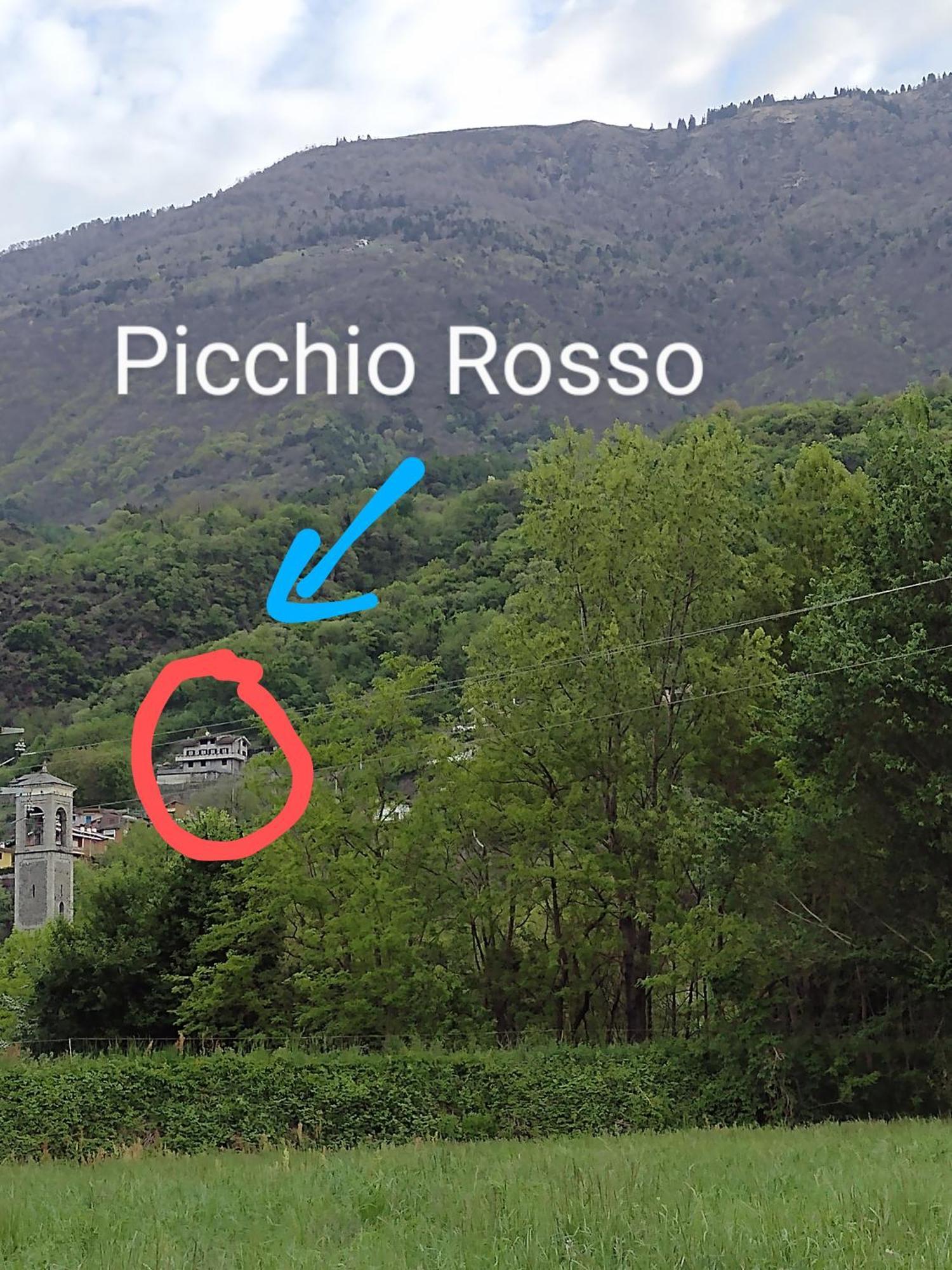 Casa Vacanze Il Picchio Rosso Mantello Eksteriør bilde
